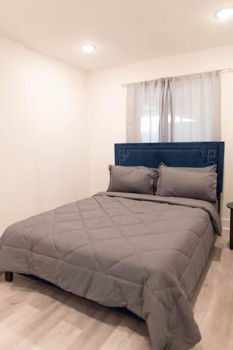 Platinum Palace 1Br 1Ba - Central Dallas Stay Екстер'єр фото