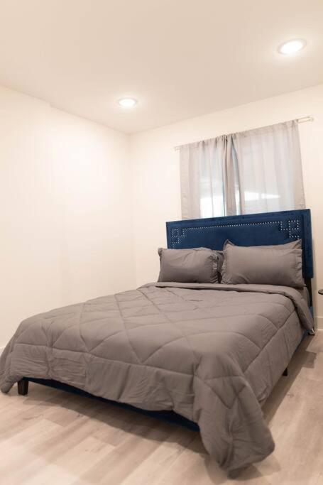 Platinum Palace 1Br 1Ba - Central Dallas Stay Екстер'єр фото